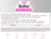 Tablet Screenshot of belles-gouines.net
